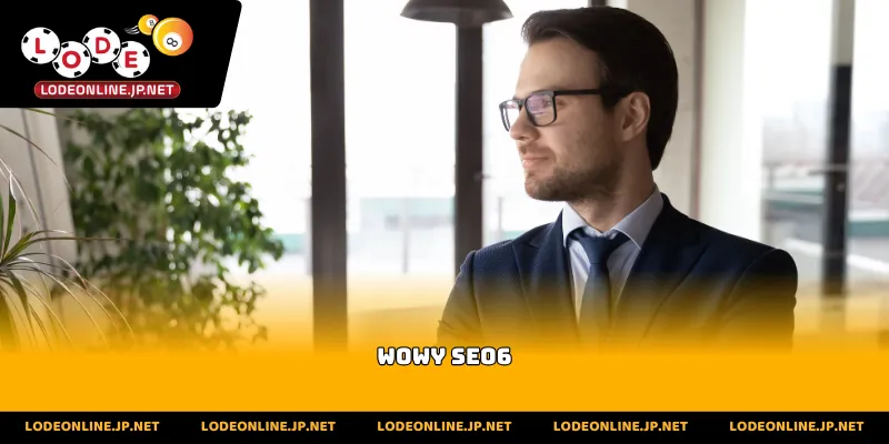 Wowy SEO6