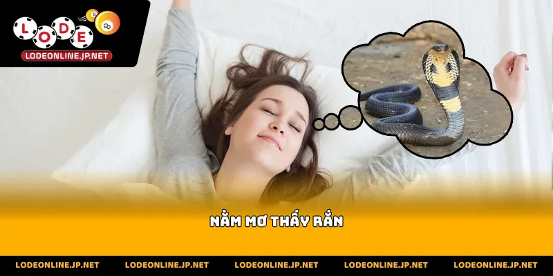 nằm mơ thấy rắn